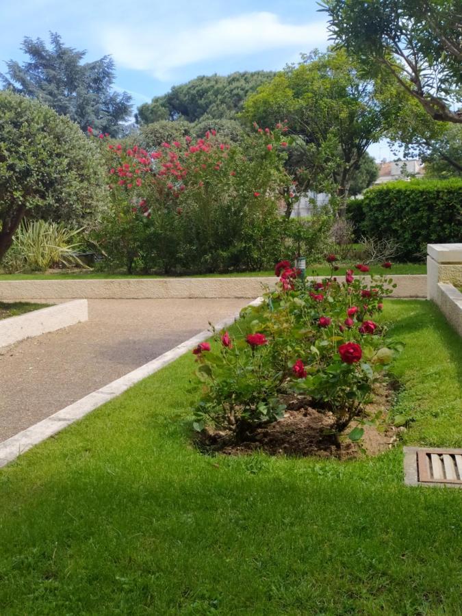 Eden Golfe Plages A Pieds Parking Prive Vallauris Exterior foto